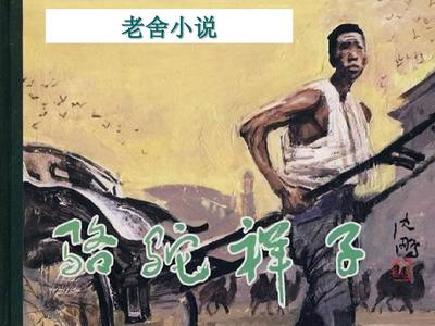 大菠萝福建导航在线